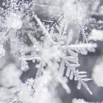 Snowflake Sparkle Shot Pot