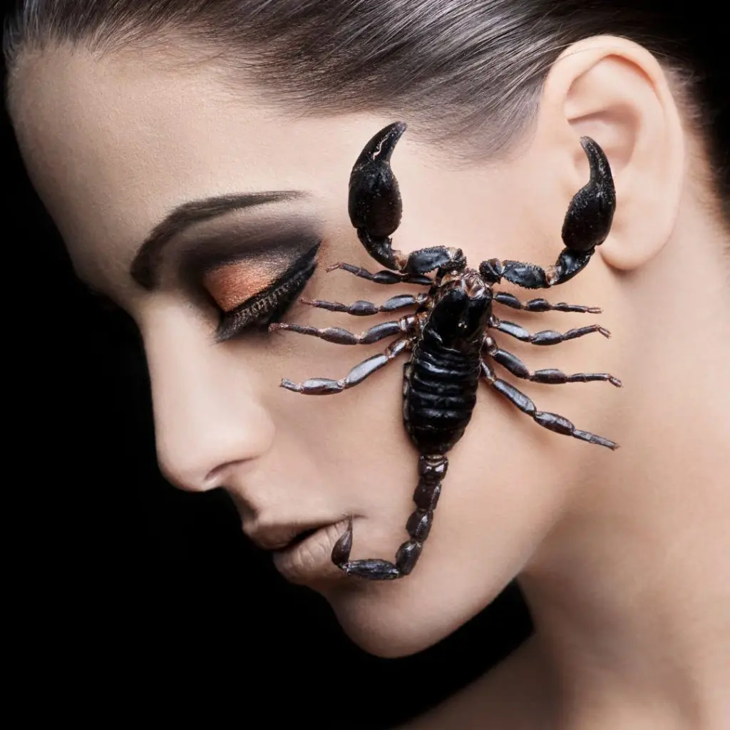 scorpio