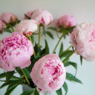 Wild Violet and Peony Shot Pot