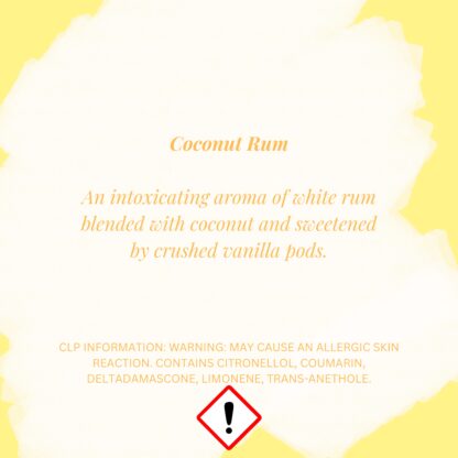 Coconut Rum Shell Pot LIMITED EDITION - Image 2