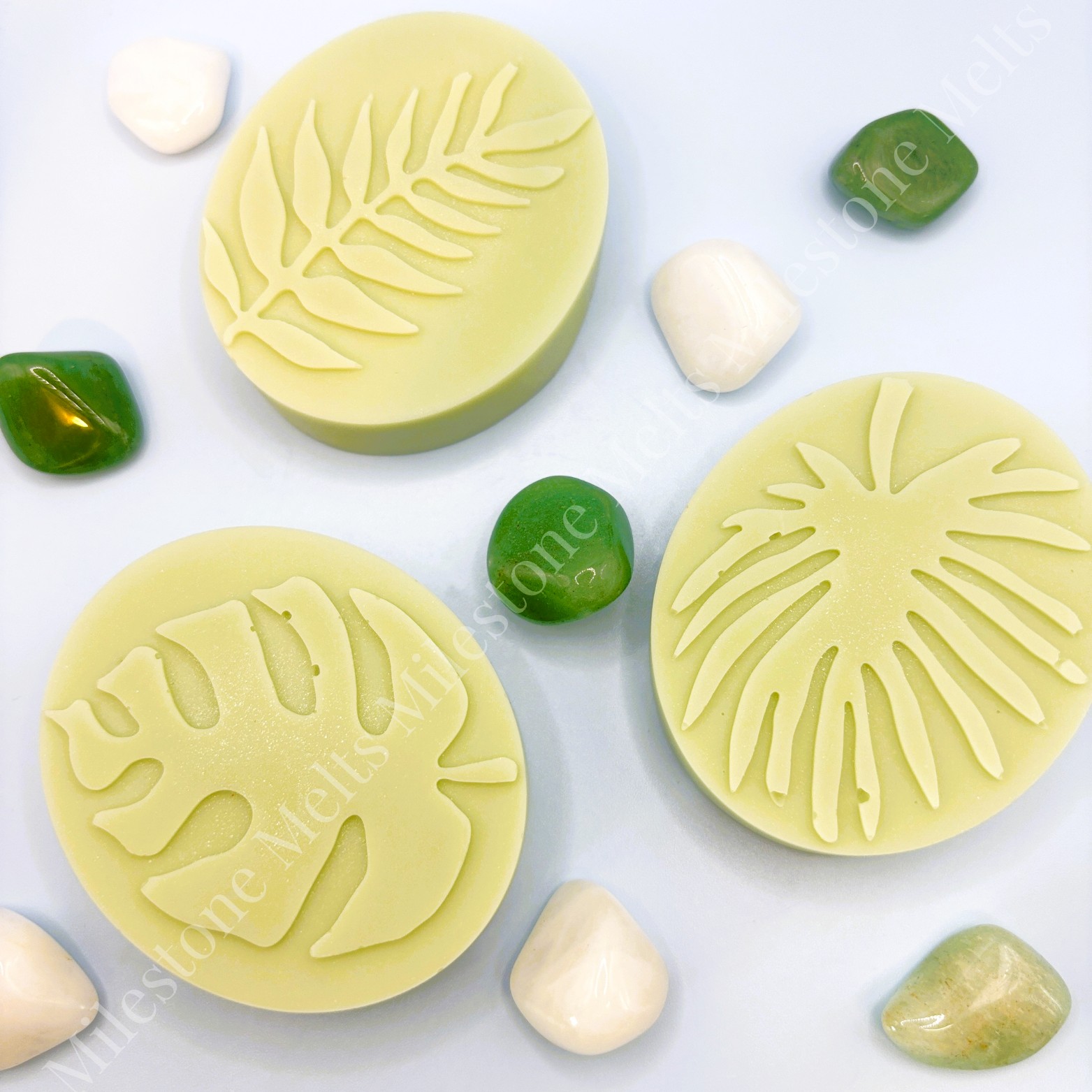 July's Monthly Melts Box – Soothe and Restore 5 Tranquil Escape Palm Leaf