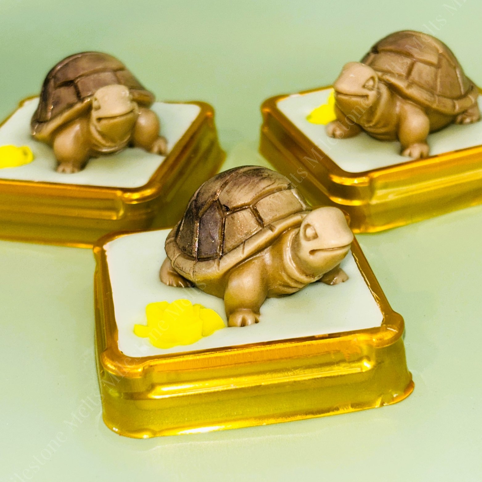 wax melt tortoise