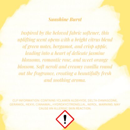 Sunshine Burst Pineapple Wax Melts - Image 2