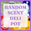 RANDOM SCENT DELI POT