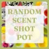 RANDOM SCENT SHOT POT
