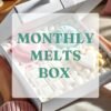 Monthly Melts Subscription Box