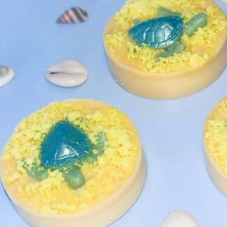 Beach Walk Turtle Wax Melt