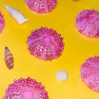 Sun and Sand Sea Urchin Wax Melts