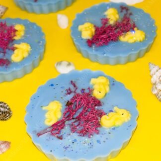 Energising Oasis Seahorse Wax Melt Slab