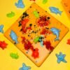 Tequila Sunrise Wax Melt Snap Slab