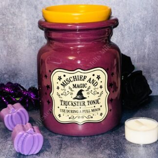 Mischief and Magic Potion Bottle Wax Melt Burner