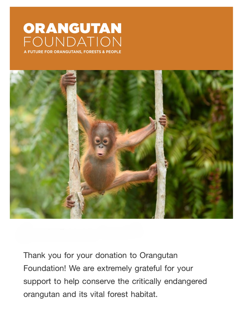 Vote for Our Next Charity Donation! 1 IMG 0823