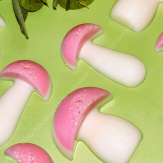 Summer Radiance Mushroom Wax Melts